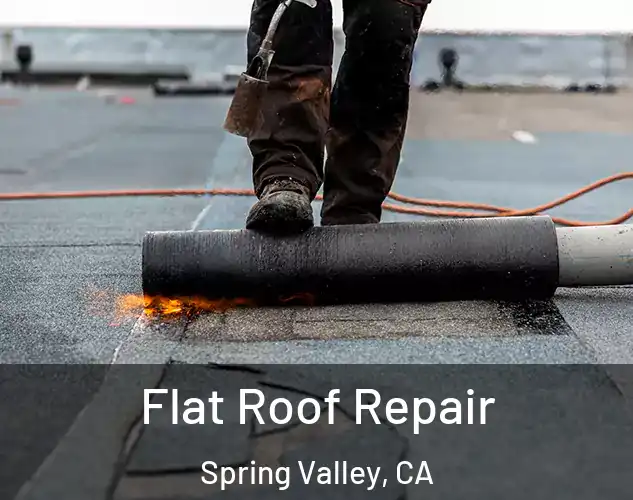  Flat Roof Repair Spring Valley, CA