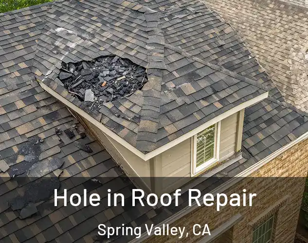  Hole in Roof Repair Spring Valley, CA