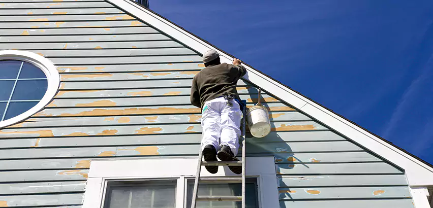 Professional Roof and Siding Repair Services in Spring Valley, CA