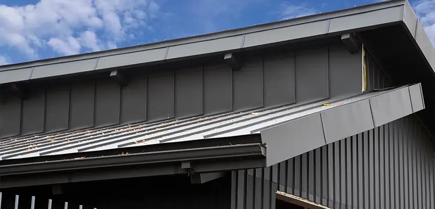 Professional Roof Eaves Installation Services in Spring Valley, CA
