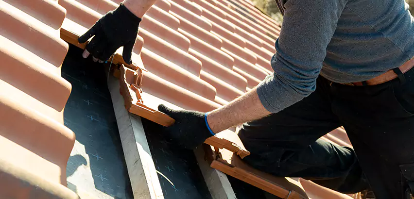 Professional Tile Roof Restoration Services in Spring Valley, CA