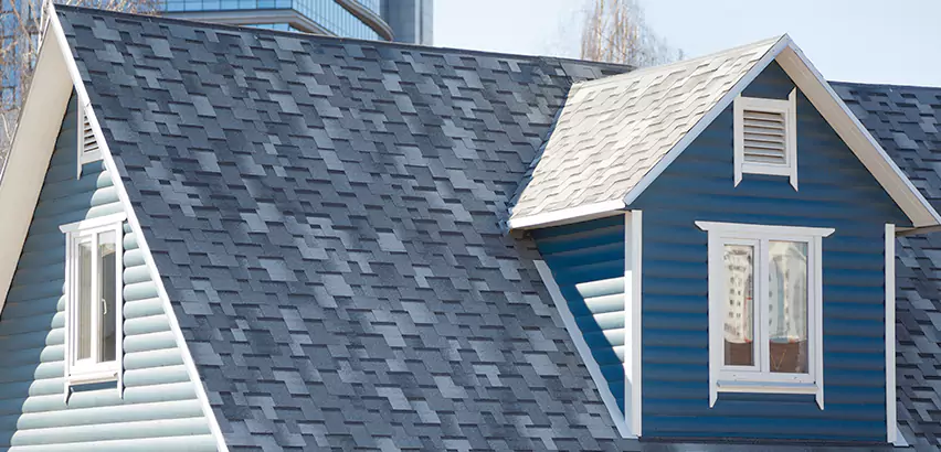 Shingle Roof Maintenance in Spring Valley