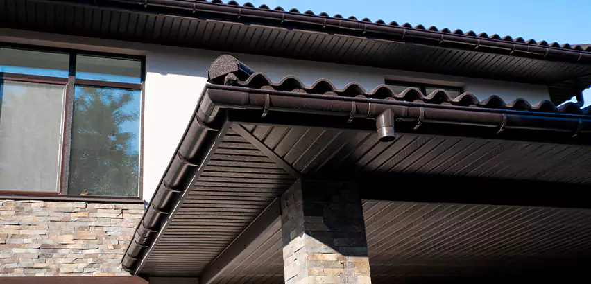 Soffit Damage Repair in Spring Valley