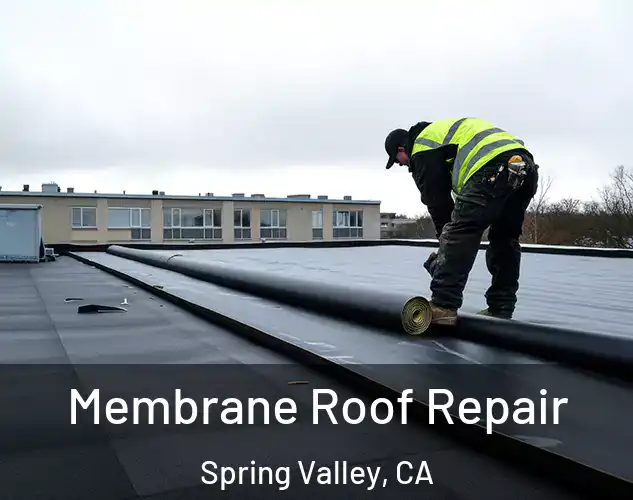  Membrane Roof Repair Spring Valley, CA