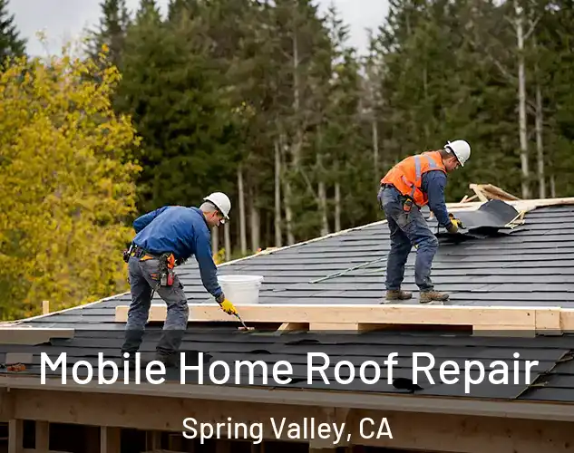  Mobile Home Roof Repair Spring Valley, CA