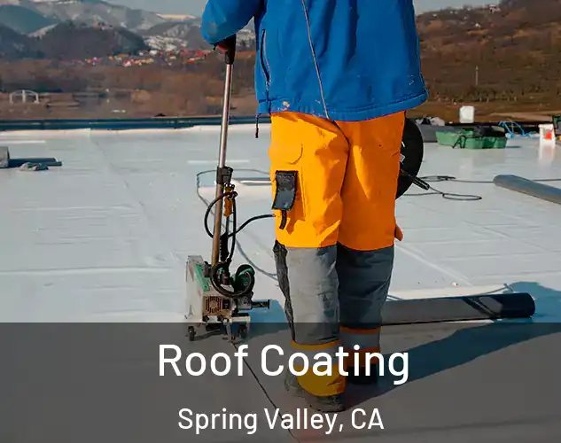  Roof Coating Spring Valley, CA