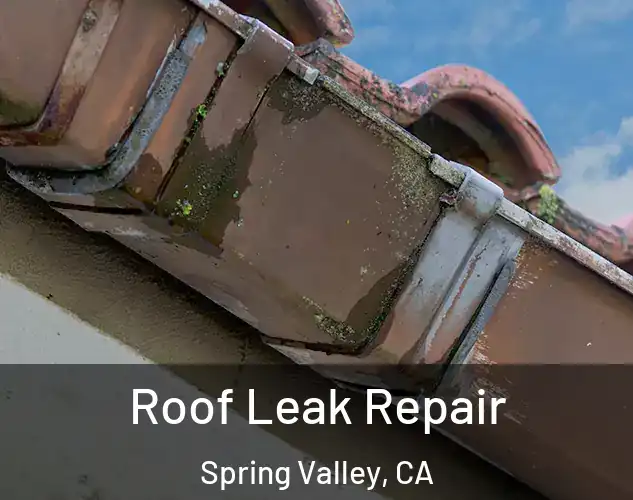  Roof Leak Repair Spring Valley, CA