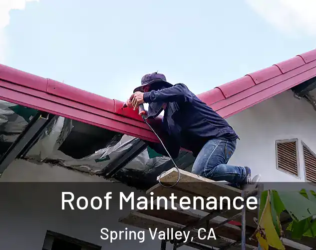  Roof Maintenance Spring Valley, CA