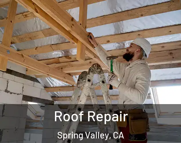  Roof Repair Spring Valley, CA