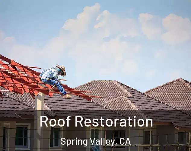  Roof Restoration Spring Valley, CA
