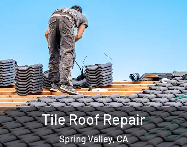  Tile Roof Repair Spring Valley, CA