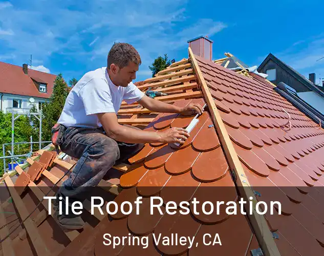  Tile Roof Restoration Spring Valley, CA