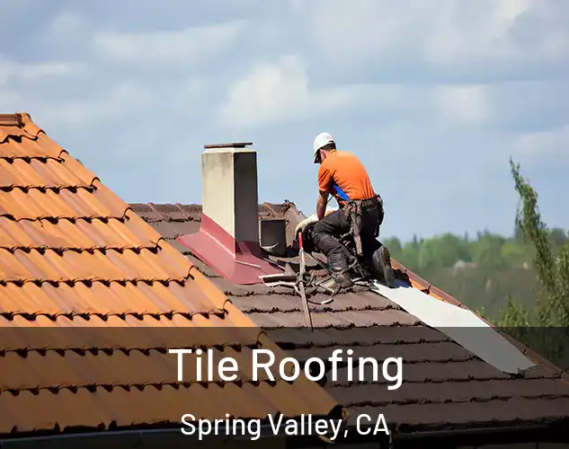 Tile Roofing Spring Valley, CA